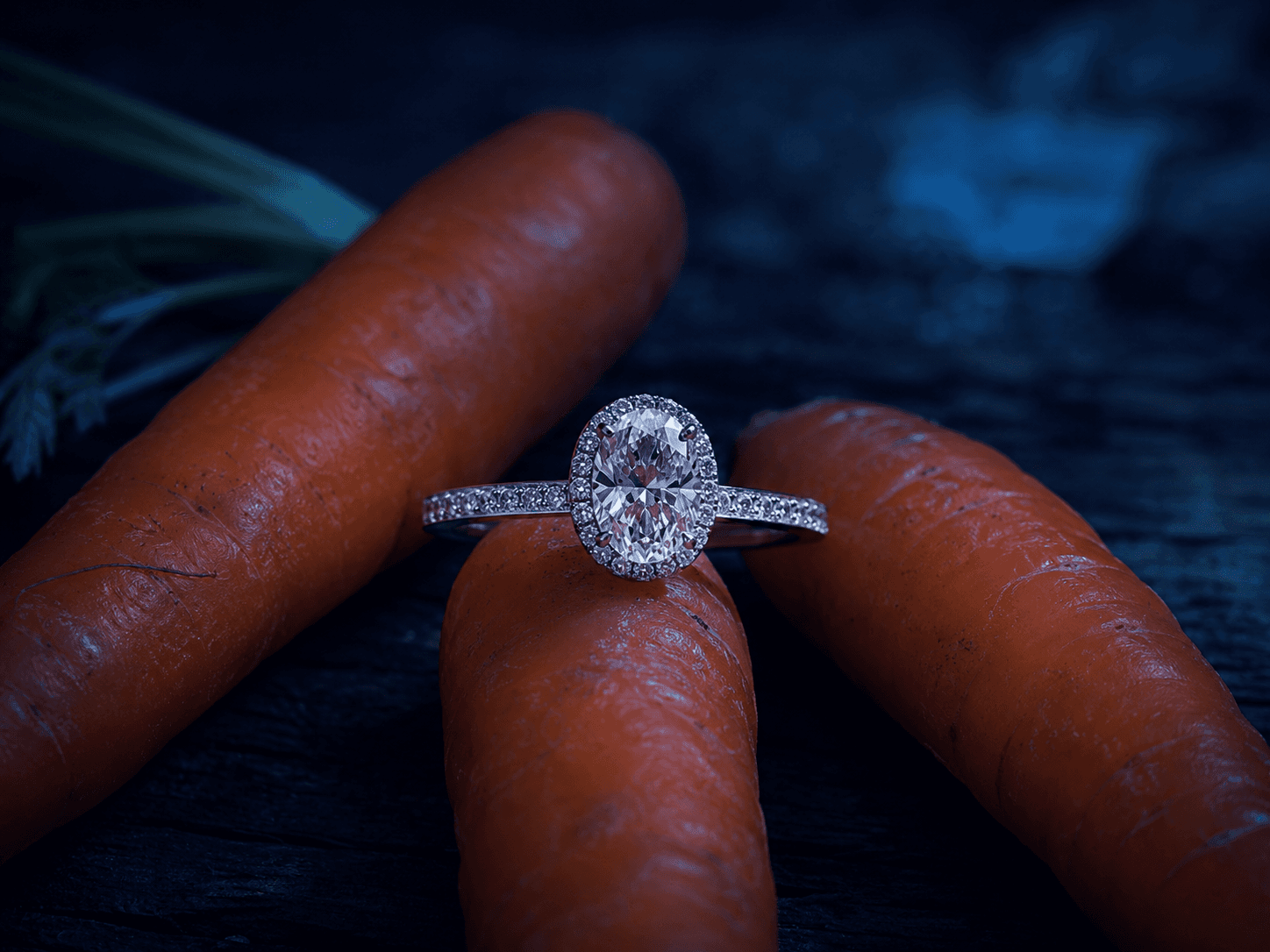 Our Future Ring